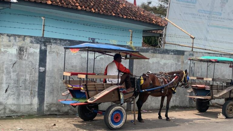 Delman-Bandung