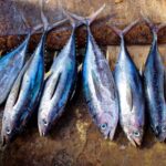 tuna